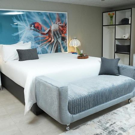 Jose Guesthouse Kempton Park Ngoại thất bức ảnh